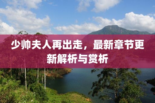 少帅夫人再出走，最新章节更新解析与赏析