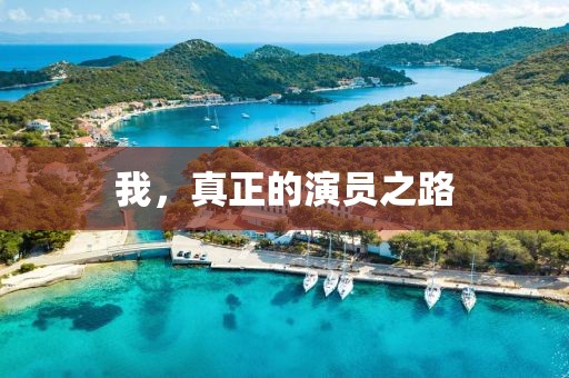 我，真正的演员之路