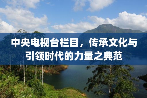 中央电视台栏目，传承文化与引领时代的力量之典范