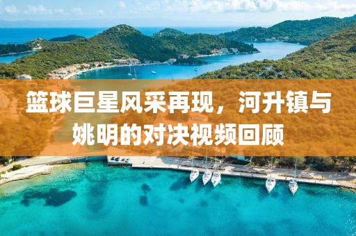 篮球巨星风采再现，河升镇与姚明的对决视频回顾