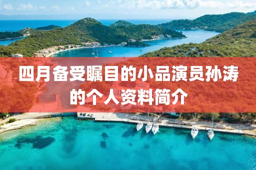 四月备受瞩目的小品演员孙涛的个人资料简介
