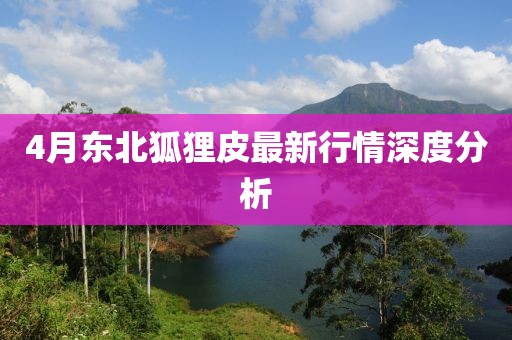 4月东北狐狸皮最新行情深度分析