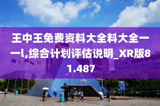 王中王免费资料大全料大全一一l,综合计划评估说明_XR版81.487