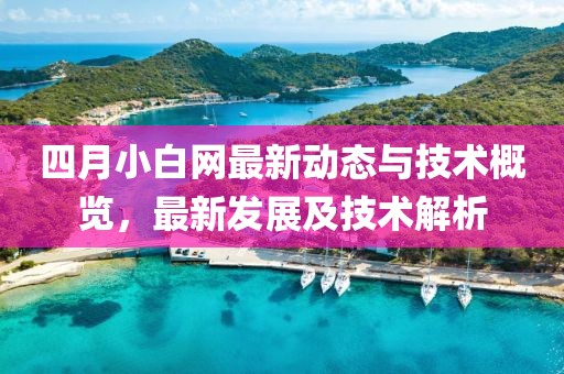 四月小白网最新动态与技术概览，最新发展及技术解析