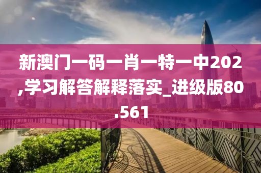 新澳门一码一肖一特一中202,学习解答解释落实_进级版80.561