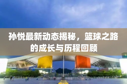 孙悦最新动态揭秘，篮球之路的成长与历程回顾