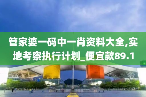 管家婆一码中一肖资料大全,实地考察执行计划_便宜款89.1