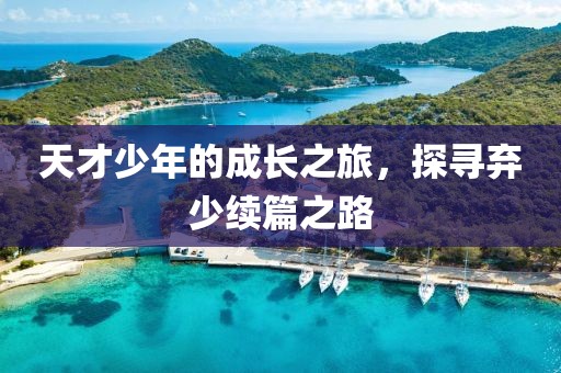天才少年的成长之旅，探寻弃少续篇之路
