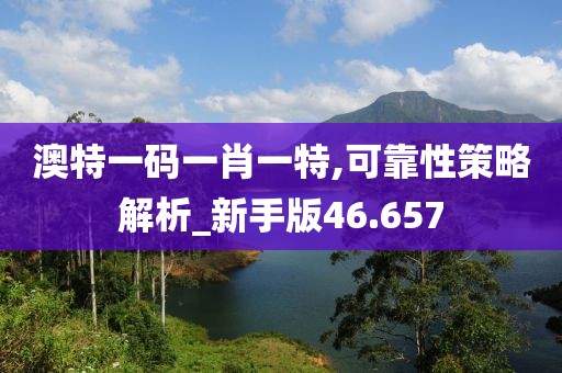 澳特一码一肖一特,可靠性策略解析_新手版46.657