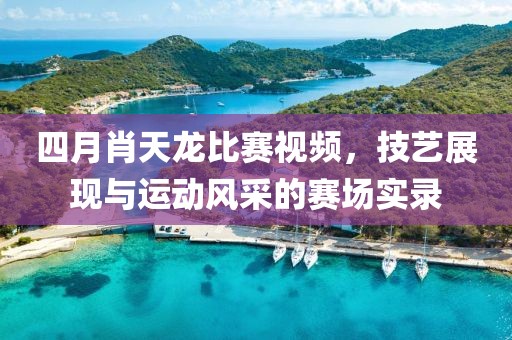 澳门精准免费大全 第4页