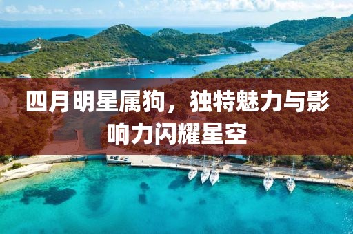 四月明星属狗，独特魅力与影响力闪耀星空