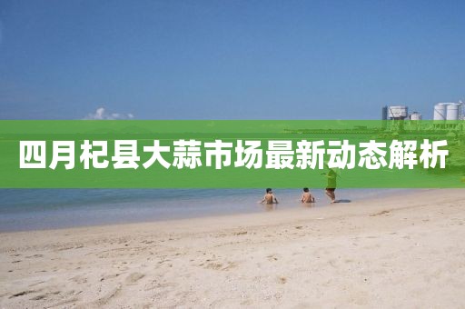 四月杞县大蒜市场最新动态解析
