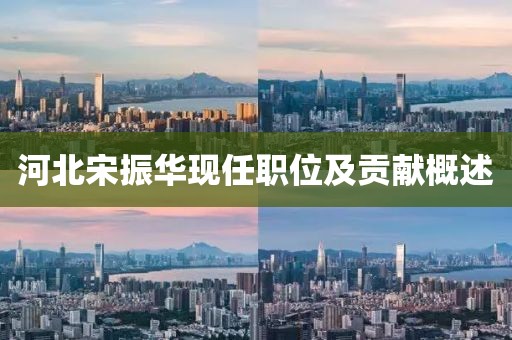 河北宋振华现任职位及贡献概述