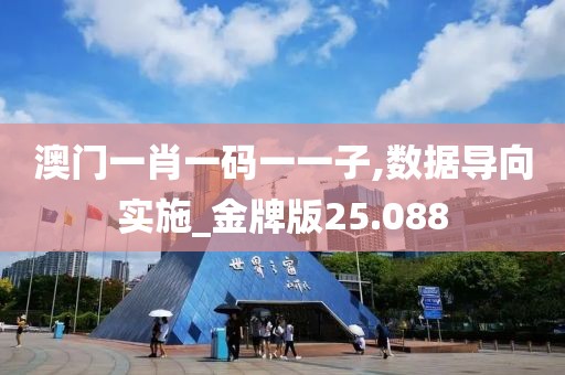 澳门一肖一码一一子,数据导向实施_金牌版25.088