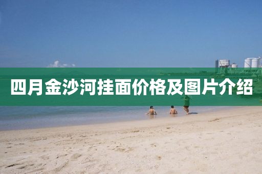 四月金沙河挂面价格及图片介绍