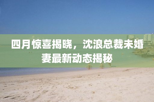 四月惊喜揭晓，沈浪总裁未婚妻最新动态揭秘