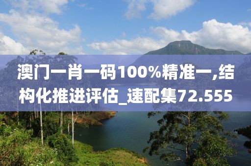 澳门一肖一码100%精准一,结构化推进评估_速配集72.555