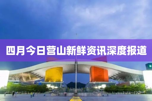 千千晚星 第3页