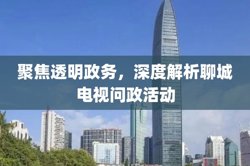 聚焦透明政务，深度解析聊城电视问政活动