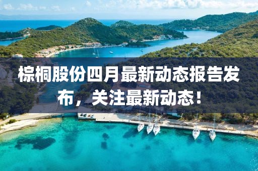 棕桐股份四月最新动态报告发布，关注最新动态！