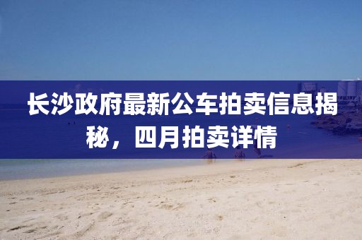汽车陪练 第24页