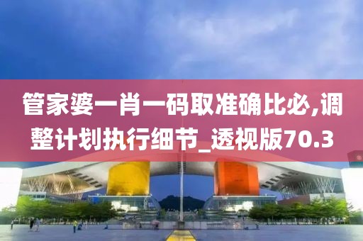 管家婆一肖一码取准确比必,调整计划执行细节_透视版70.3
