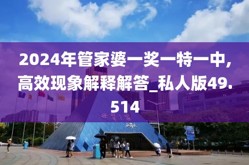2024年管家婆一奖一特一中,高效现象解释解答_私人版49.514