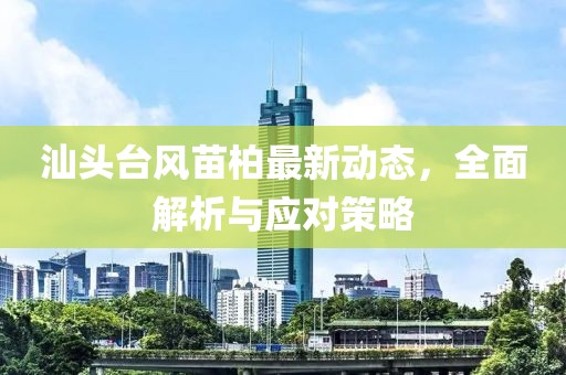 汕头台风苗柏最新动态，全面解析与应对策略