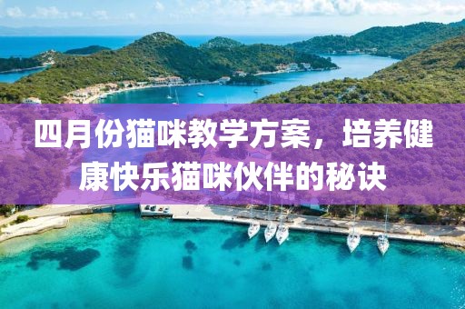 四月份猫咪教学方案，培养健康快乐猫咪伙伴的秘诀