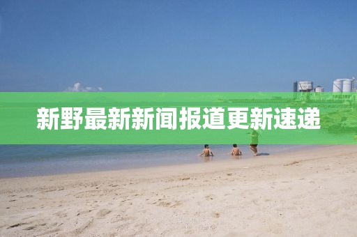 新野最新新闻报道更新速递