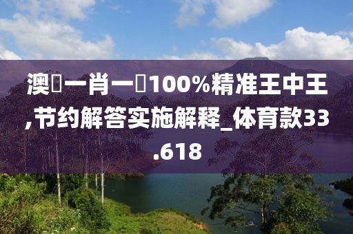 澳門一肖一碼100%精准王中王,节约解答实施解释_体育款33.618