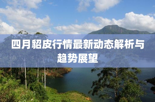 四月貂皮行情最新动态解析与趋势展望