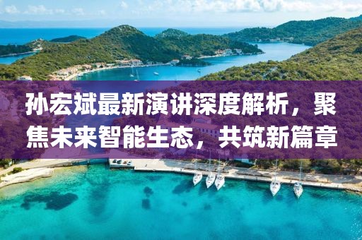 孙宏斌最新演讲深度解析，聚焦未来智能生态，共筑新篇章