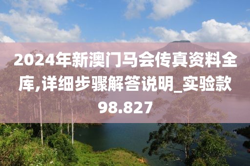 2024年新澳门马会传真资料全库,详细步骤解答说明_实验款98.827
