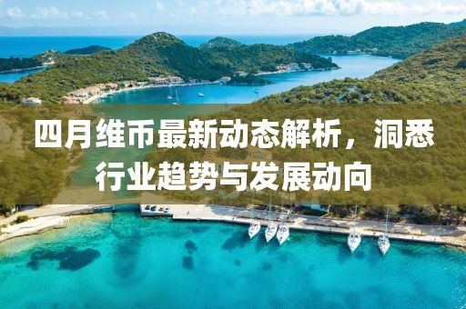 四月维币最新动态解析，洞悉行业趋势与发展动向
