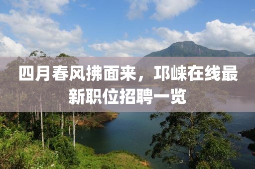 汽车陪练 第12页