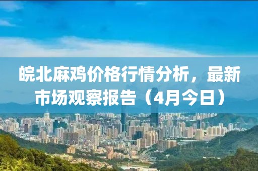 皖北麻鸡价格行情分析，最新市场观察报告（4月今日）