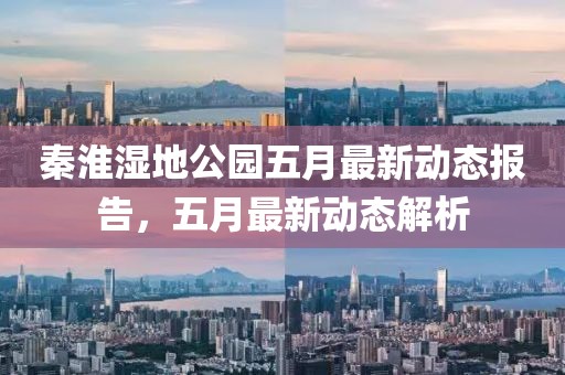 秦淮湿地公园五月最新动态报告，五月最新动态解析