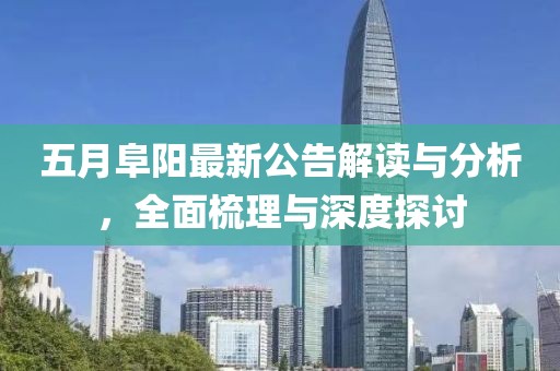 五月阜阳最新公告解读与分析，全面梳理与深度探讨