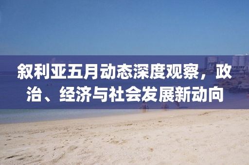 叙利亚五月动态深度观察，政治、经济与社会发展新动向