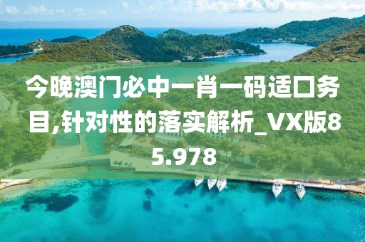 今晚澳门必中一肖一码适囗务目,针对性的落实解析_VX版85.978