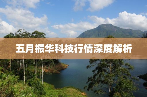 五月振华科技行情深度解析