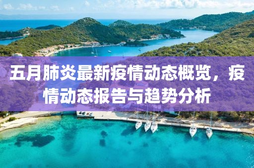 五月肺炎最新疫情动态概览，疫情动态报告与趋势分析