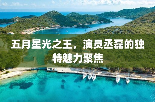 五月星光之王，演员丞磊的独特魅力聚焦