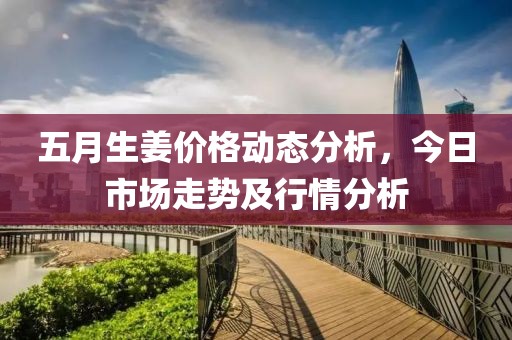 五月生姜价格动态分析，今日市场走势及行情分析