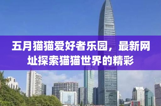 五月猫猫爱好者乐园，最新网址探索猫猫世界的精彩