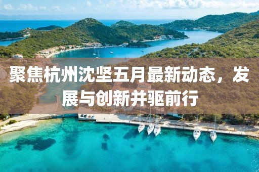 聚焦杭州沈坚五月最新动态，发展与创新并驱前行
