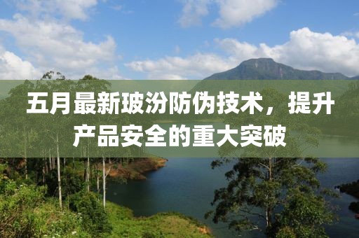 汽车陪练 第8页