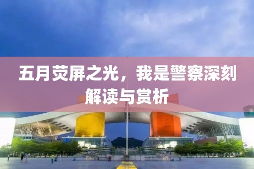 五月荧屏之光，我是警察深刻解读与赏析