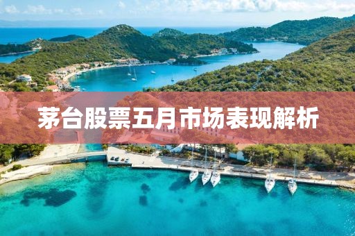 茅台股票五月市场表现解析
